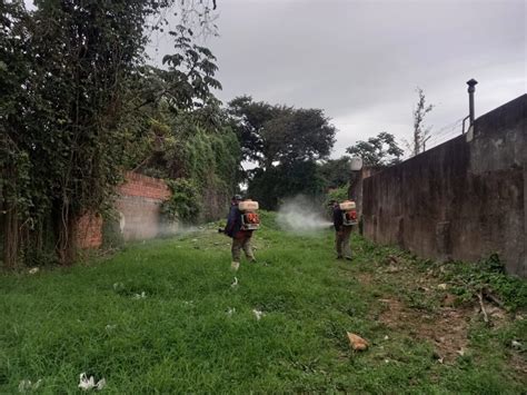 Continúan las tareas de prevención en la lucha contra el Dengue