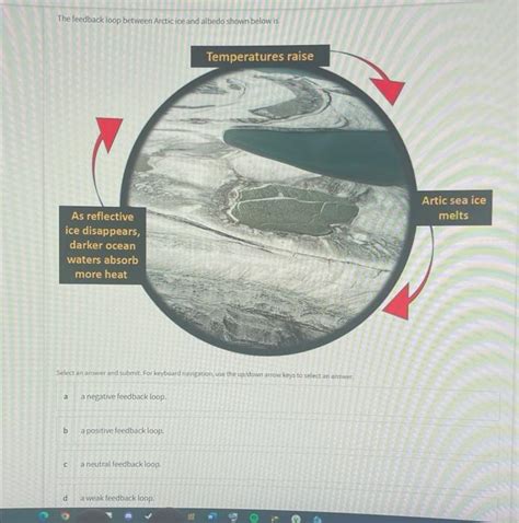 Solved The feedback loop between Arctic ice and albedo shown | Chegg.com