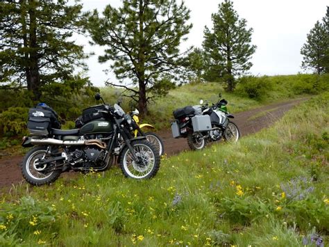 Taking a Scrambler Off-Road | Triumph Rat Motorcycle Forums