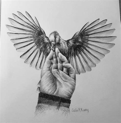 Bird, pencil drawing, A4 paper : r/Art