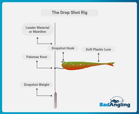 Mastering Bass Fishing Drop Shot Rig Explained Badangling