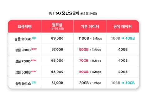 인터넷 종류 확인 통신사 요금제 종류 Sk Kt Lg와 비교 정복