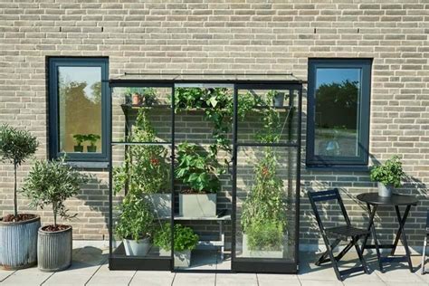 Halls Qube Lean To Greenhouse Black Toughened Glass Steam