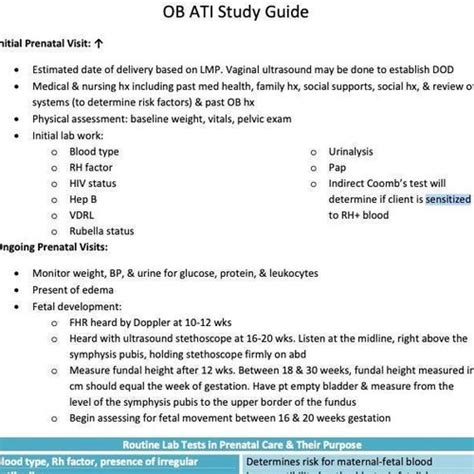 ATI Maternal Newborn Study Guide OB Nursing Notes Etsy