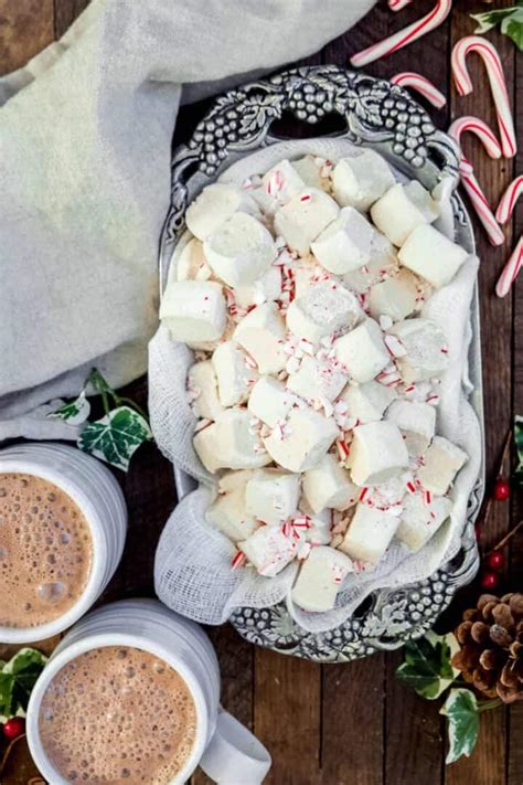 Peppermint Marshmallows And Hot Chocolate The Movement Menu