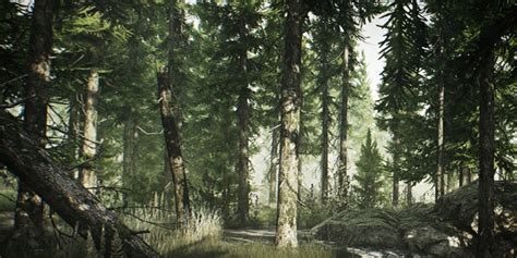 Woods Map Tarkov Map Genie