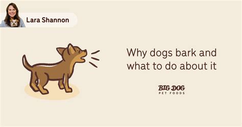 Why Dogs Bark And What To Do About It Guides Big Dog Pet Foods