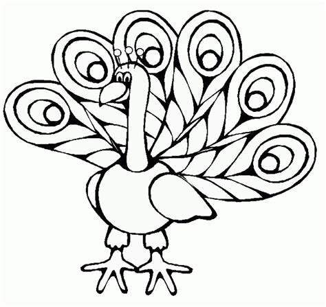 Peacock Coloring Pages