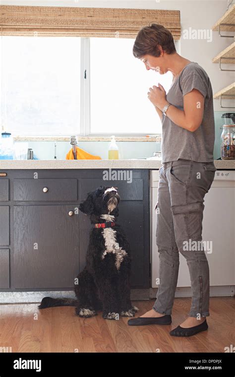 Femme mature debout dans la cuisine Banque de photographies et dimages à haute résolution Alamy