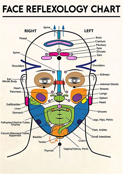 Face Reflexology Chart Poster Reflexology Chart Reflexology Heart