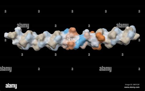 Collagen Molecule Solid Surface 3d Rendering Stock Photo Alamy