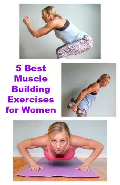 Best Muscle Building Exercises For Women Jenny At Dapperhouse