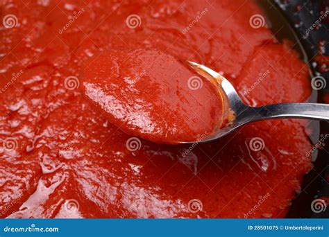 Tomato Sauce Stock Image Image Of Paste Sauce Tomato 28501075