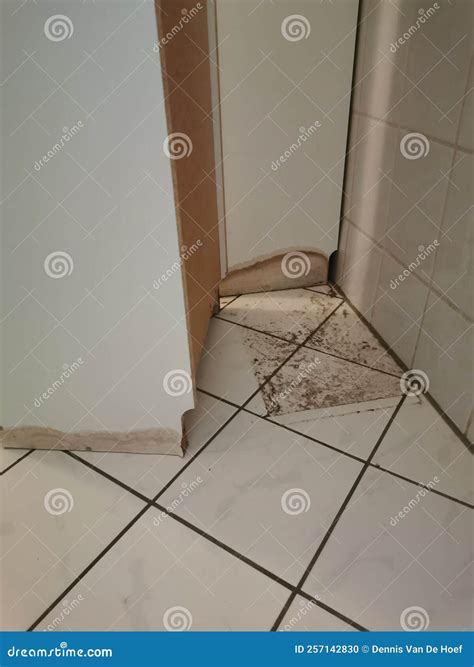 Clogged Sewage Drain Pipe Causing A Damage Stock Photo Image Of Damp