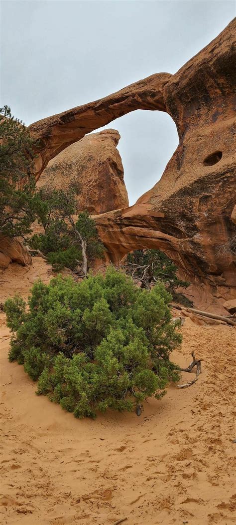 Photos of Dream Lake Trail - Colorado | AllTrails