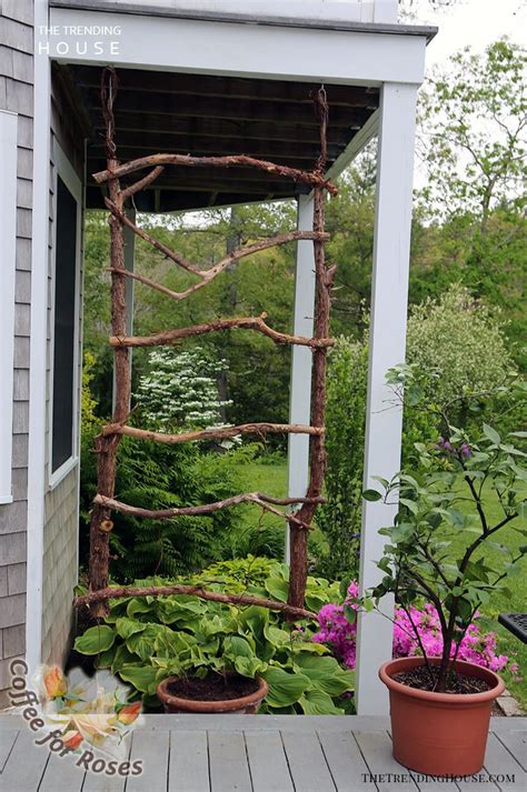 18 Gothic Garden Trellis Ideas You Cannot Miss Sharonsable