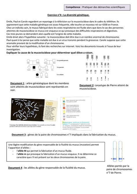 Chromosome arbre généalogique 3ème SVT