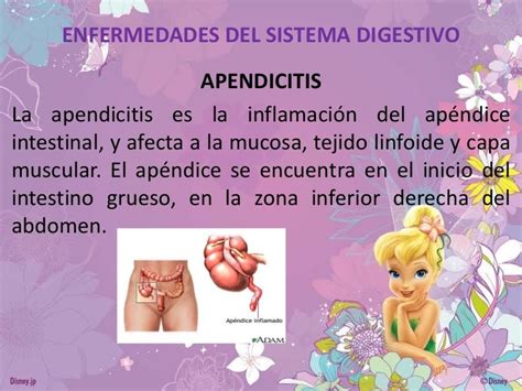 Enfermedades Del Sistema Digestivo