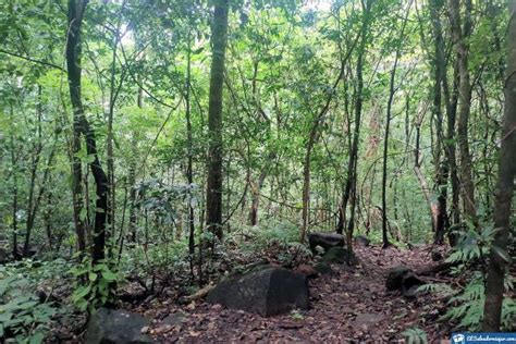 Parque Nacional El Imposible Qué Ver Y Hacer