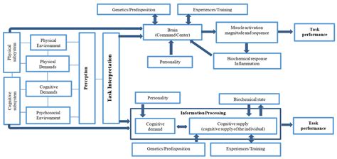 Agronomy Free Full Text Musculoskeletal Disorders In Agriculture A