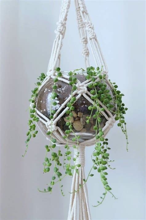 CINTRE POUR PLANTES EN MACRAMÉ avec pots en verre jardinière suspendue