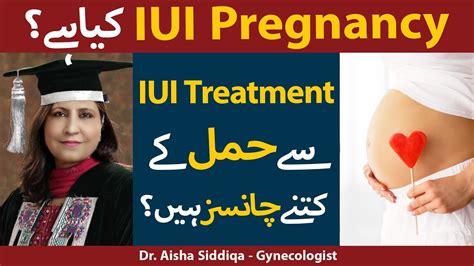 Iui Treatment For Pregnancy Iui Kya Hota Hai In Urdu Iui Ke Kitne