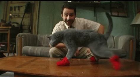 Mittens Cats GIF - Mittens Cats - Discover & Share GIFs