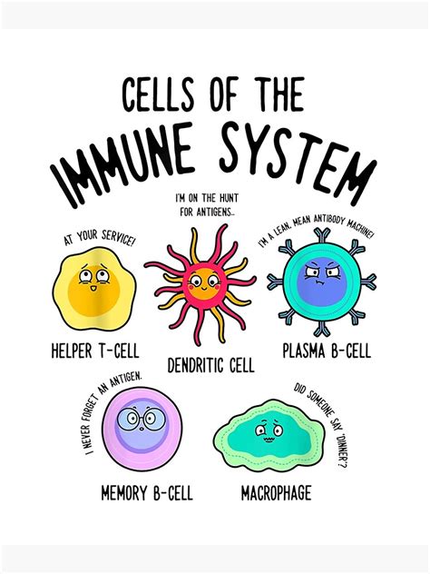 Cells Of The Immune System Science Poster For Sale By Sharpssmine