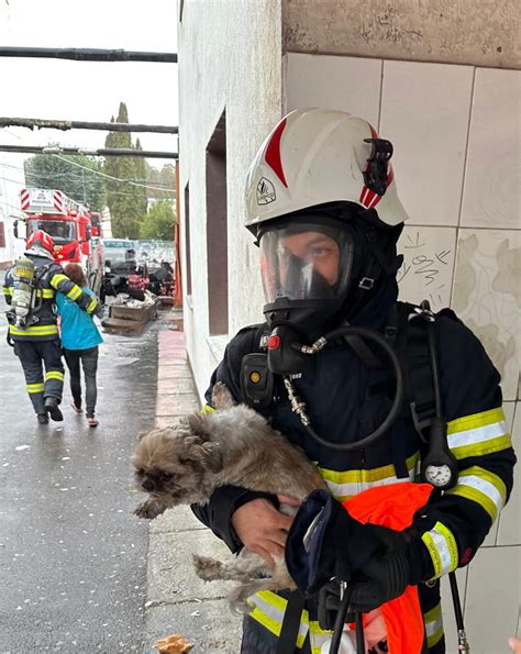 Incendiu într un bloc de lângă sediul pompierilor din cartierul