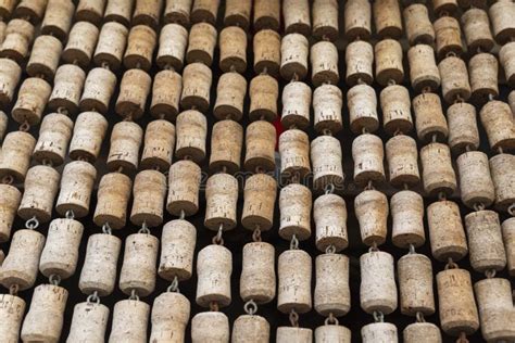 Rows Texture Of Corks For Wine Bottles Stock Photo Image Of Material