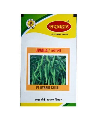 Green Sadabahar F1 Hybrid Chilli Seed For Agriculture Packaging Type