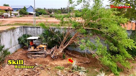 Unbelievable Bulldozer Operator Skill To Clear The Trees For Filling Up