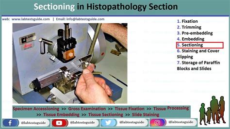 Sectioning Histopathology Lab Tests Guide