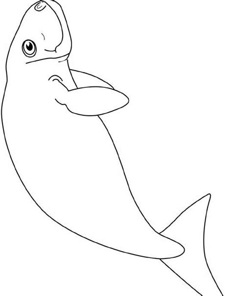 Foca Facile Da Colorare Disegni Da Colorare