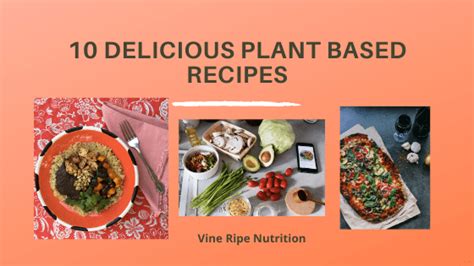 10 Delicious Plant-Based Protein Recipes - Vine Ripe Nutrition