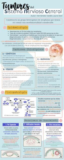 Tumores Del Sistema Nervioso Central Itzel Hernandez Udocz