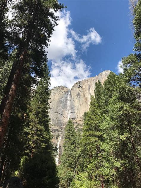 12 Best Short Easy Hikes In Yosemite National Park