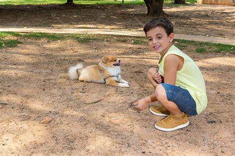 Menino De 6 Anos Agachado E Brincando Um Pau E Um Cachorro