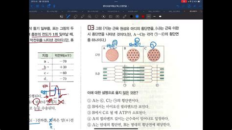 생명과학1내공의 힘 근수축운동 문제38쪽~39쪽23 Youtube