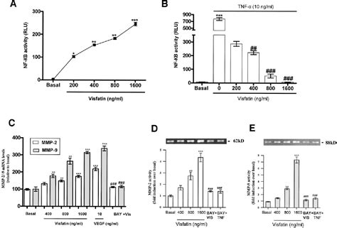 Figure From Nuclear Factor B Induction By Visfatin In Human Vascular