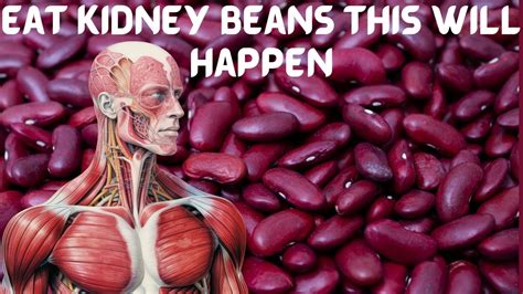 Eat Kidney Beans This Will Happen To Your Body12 Health Benefits Of