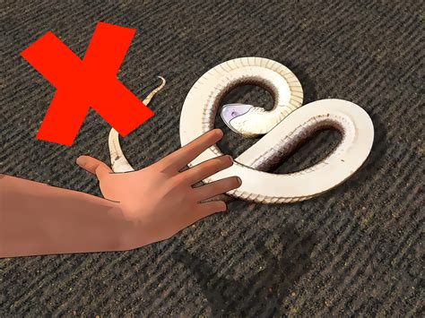 How to Prevent Snake Bites: 12 Steps (with Pictures) - wikiHow