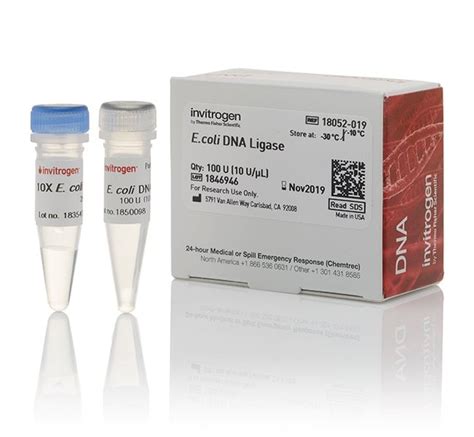 Invitrogen E. coli DNA Ligase 100 units:Enzymes and Inhibitors ...