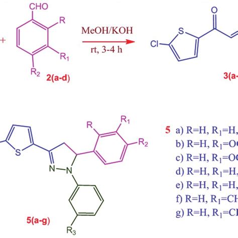 Schematic Diagram For The Synthesis Of Pyrazoles 5a G Download