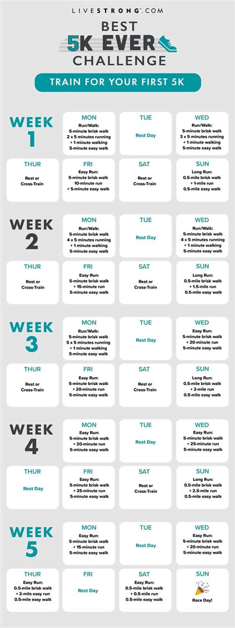 Cardio Workout 3 Days A Week A Beginner S Guide Cardio Workout Exercises