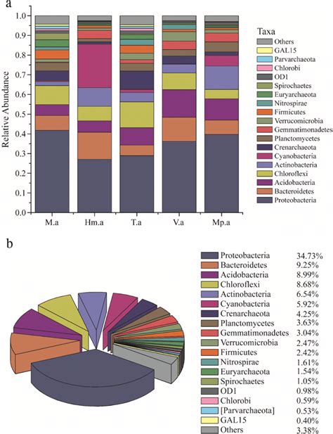 Relative Abundance Of The Microbial Community At The Phylum Level In