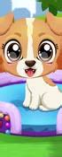 Dog Dress Up Games For Adults - Play Online For Free - DressUpWho.com