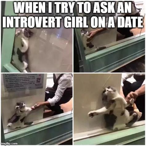 Introverts Imgflip