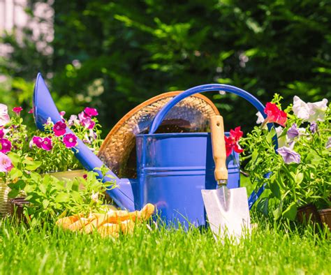 Am Nagement De Jardin Les Secrets Pour Une Organisation Efficace Et