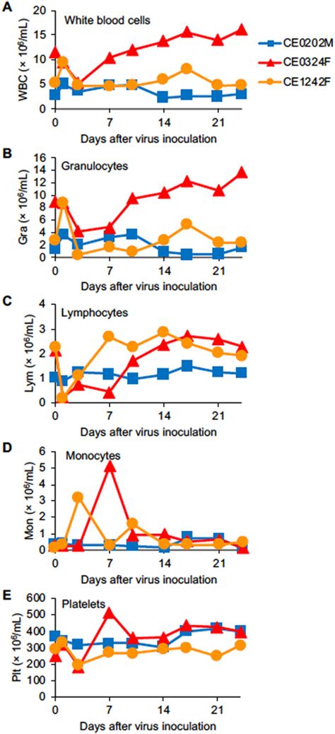 Neutralizing Antibody Dependent And Independent Immune Responses Against Sars Cov 2 In